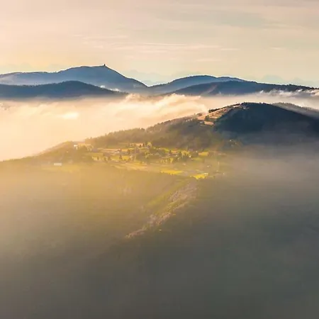 Le De Saute / Au Pieds Des Pistes, Sauna Et Vue Imprenable Sur Les Montagnes ! Bussang